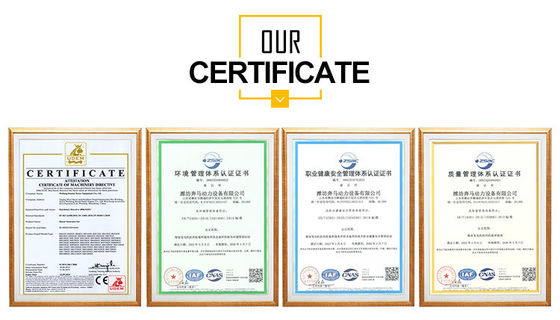 40 kW Kangmingsi Diesel Generator Set met richting injectie motor en Zhongzhi Controller